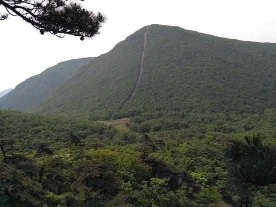遠看青山