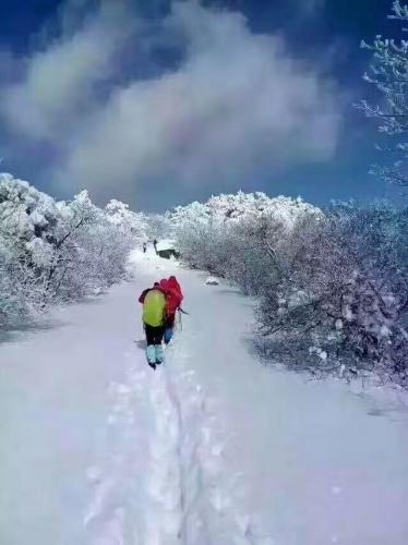 漂亮的雪景