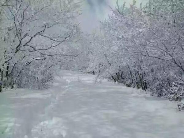 雪中馬路