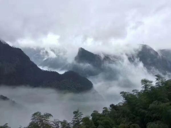 滿山云霧
