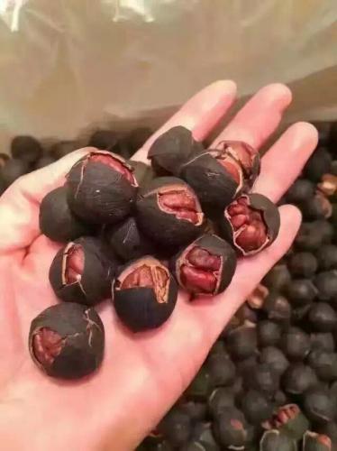 紅紅的核桃