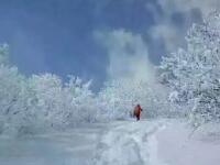 龍王山雪景