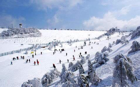 滑雪場全景
