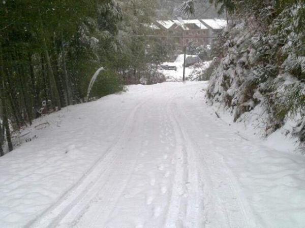鋪滿路面的雪