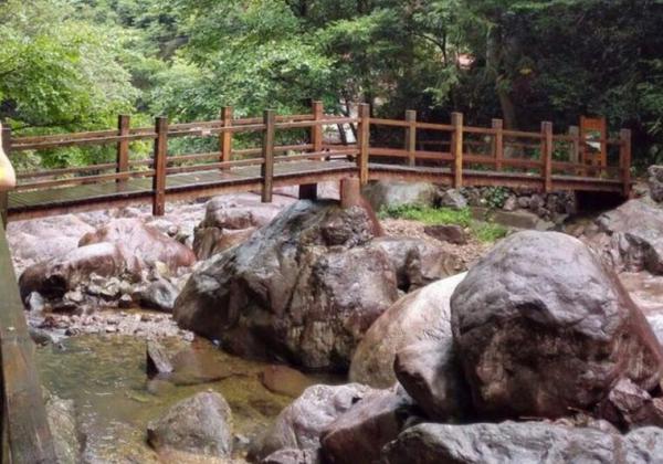 橋