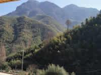 美麗風(fēng)景