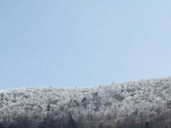 冬季白雪皚皚