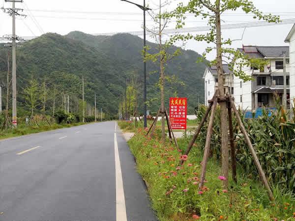 路邊招牌