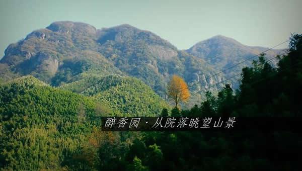 遠眺