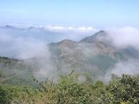 山中云霧