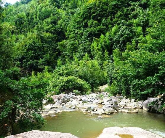 綠樹成蔭