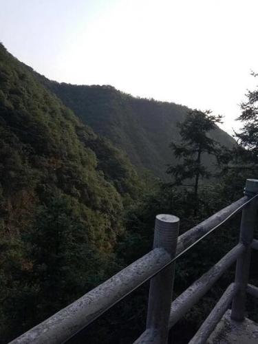 遠眺山中