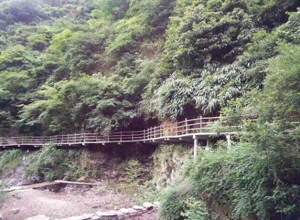藏在竹林里的棧道
