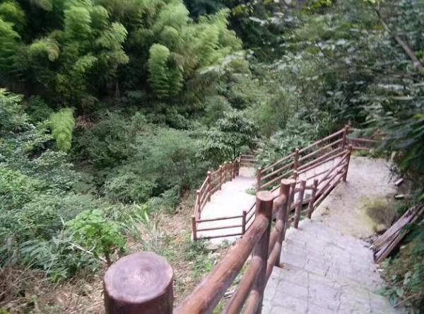 一片綠意