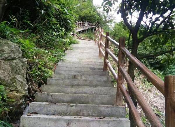 呼吸好空氣