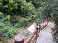 竹林棧道