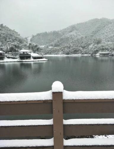 湖邊觀雪景