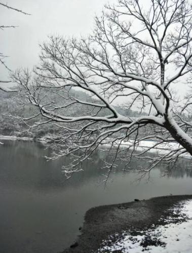 美麗雪景