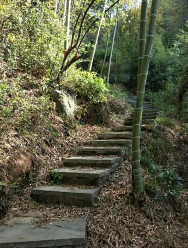 一片綠意