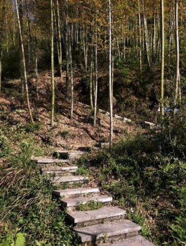 山間小道