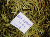龍井白茶