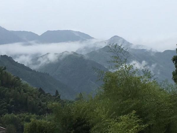 云霧繚繞