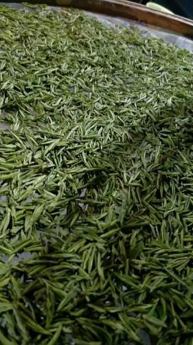 茶園