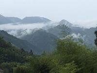 山中云霧