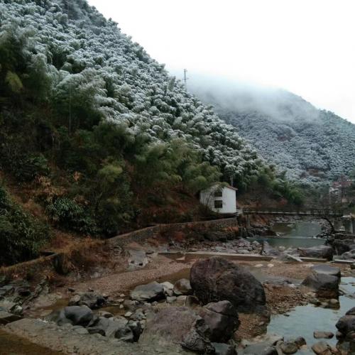滿山的雪