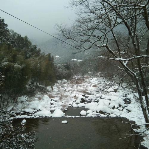 石頭上的雪