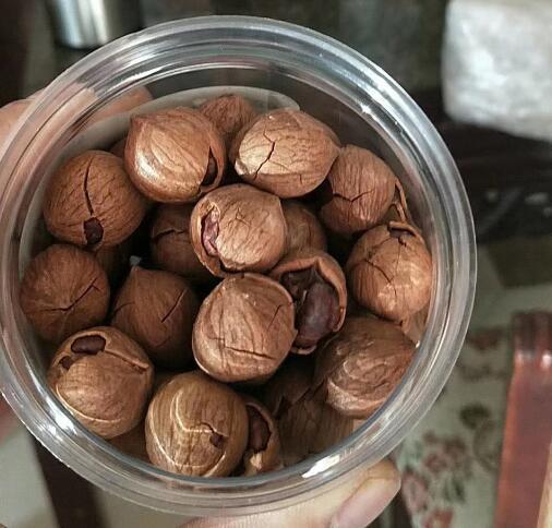 新鮮的