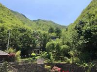 周圍美景