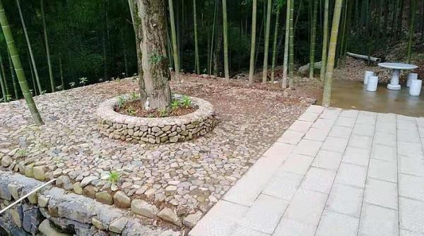竹林邊的石凳