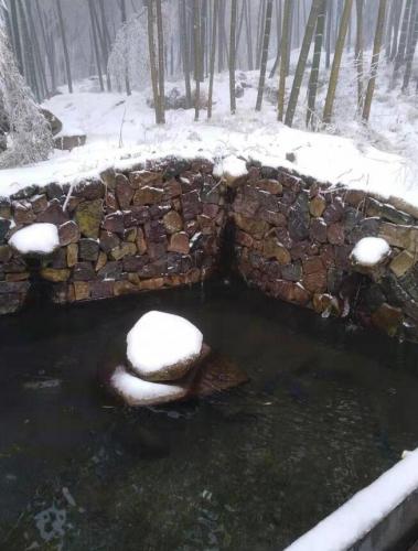 石頭上的積雪