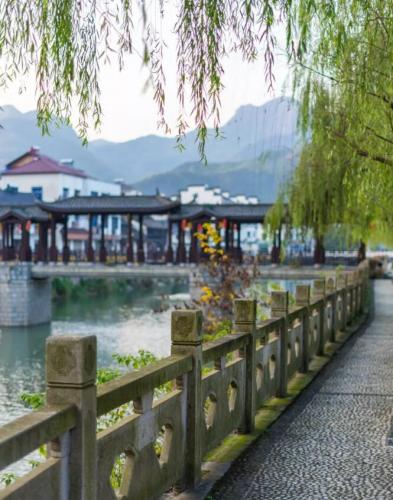 柳樹綠道