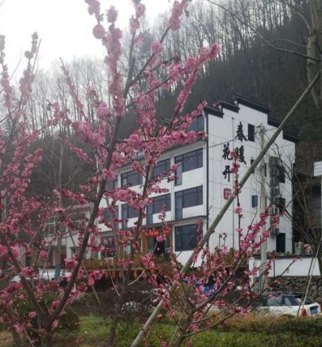 春暖花開
