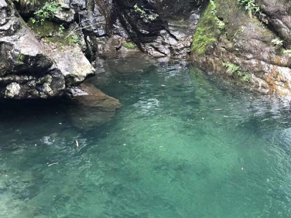 綠水