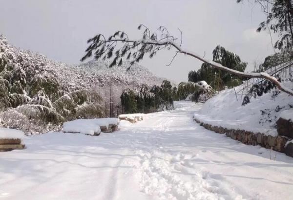 路上的積雪
