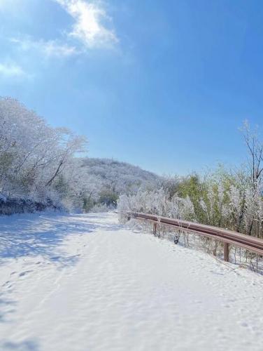 美麗的雪景
