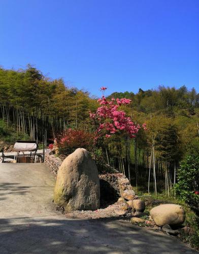 藍(lán)天綠樹