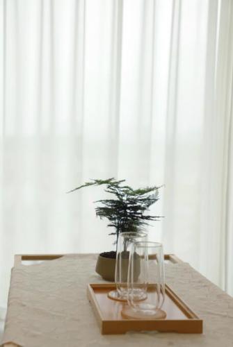綠植擺臺