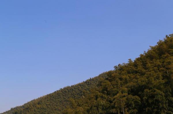 藍天青山