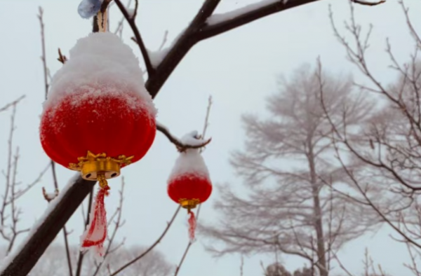雪中的燈籠