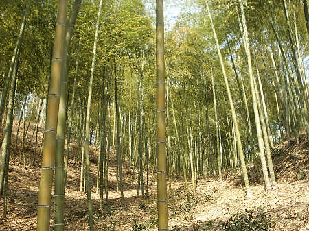 周邊風(fēng)景