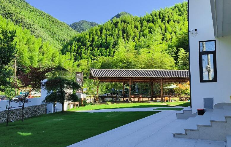 庭院