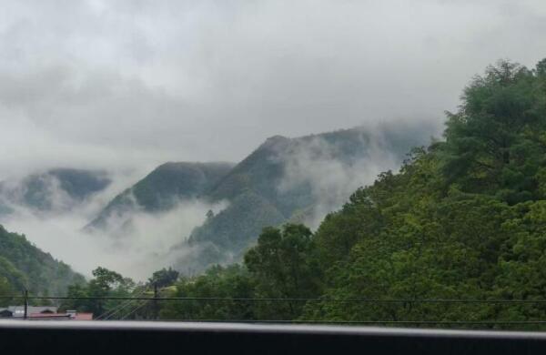 陽臺風景