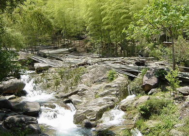 龍王山美景