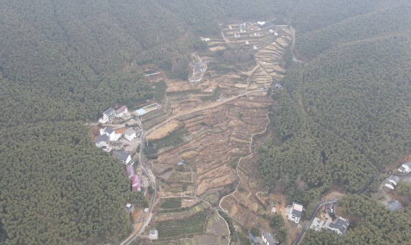 樹景塢梯田