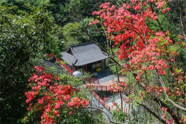 紅林寺