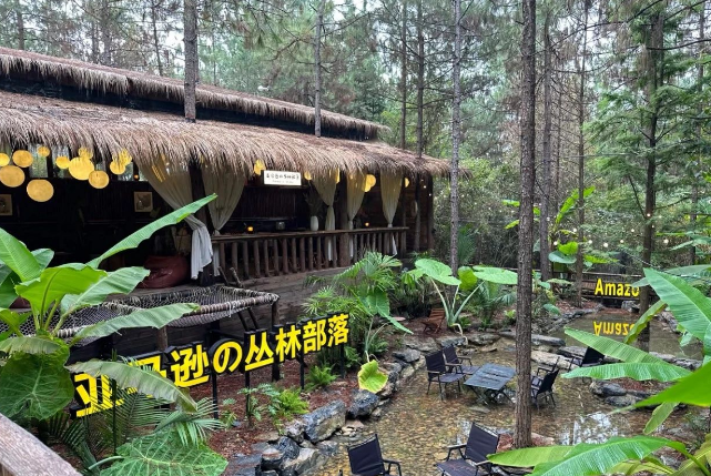 茶花嶺營地